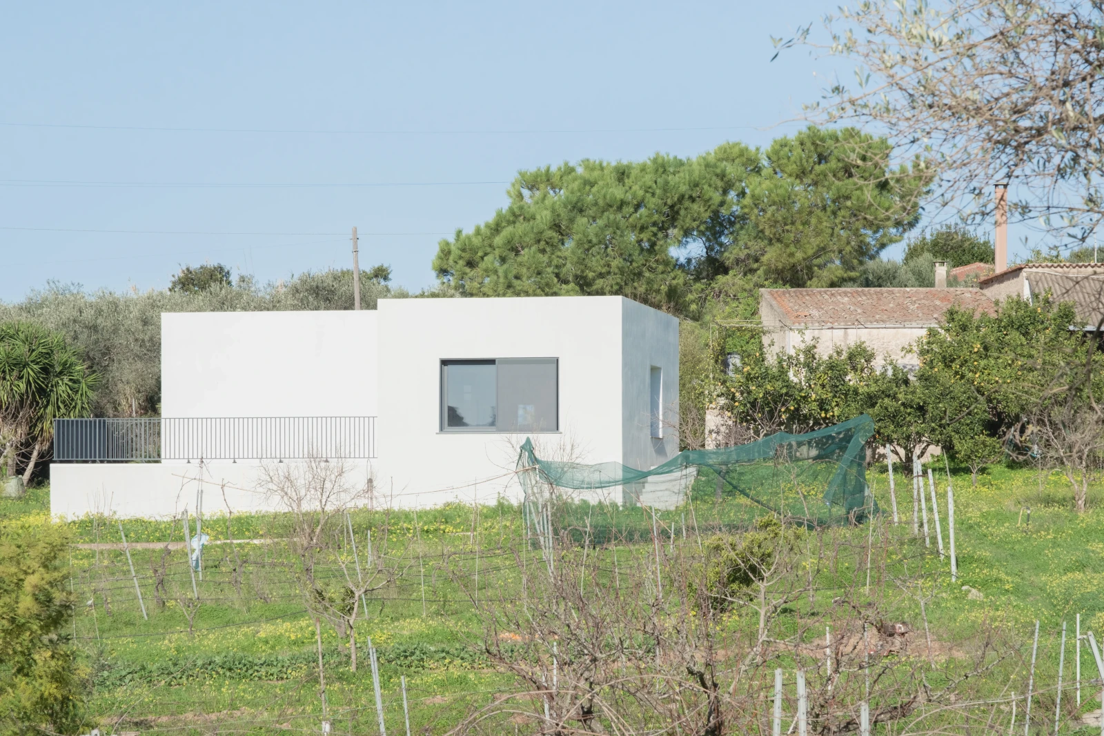 A nord del 4531